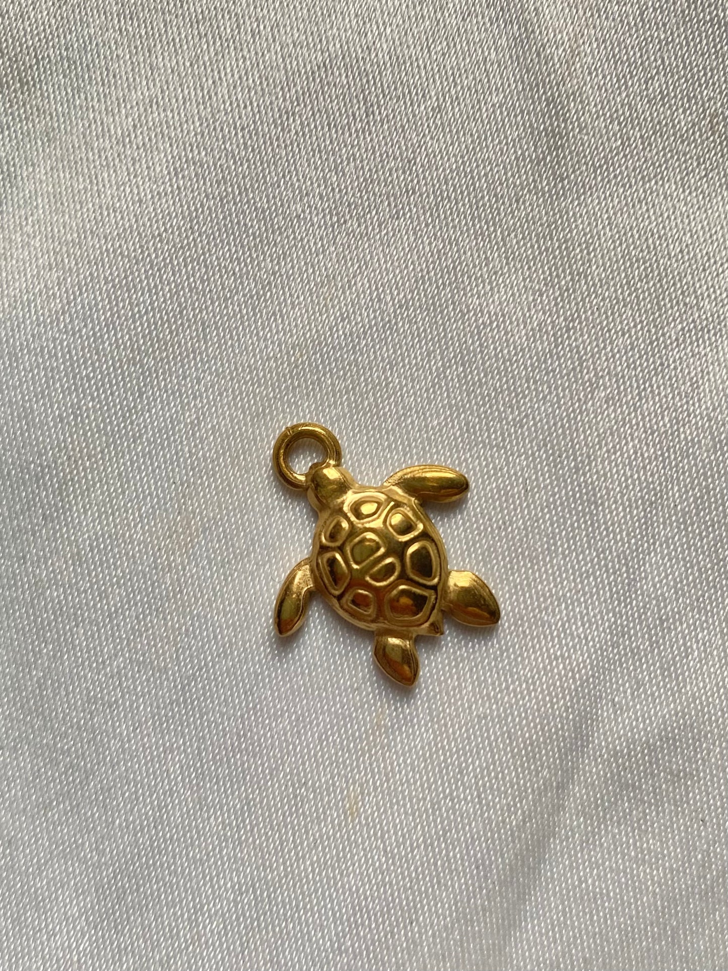 Stainless steel turtle