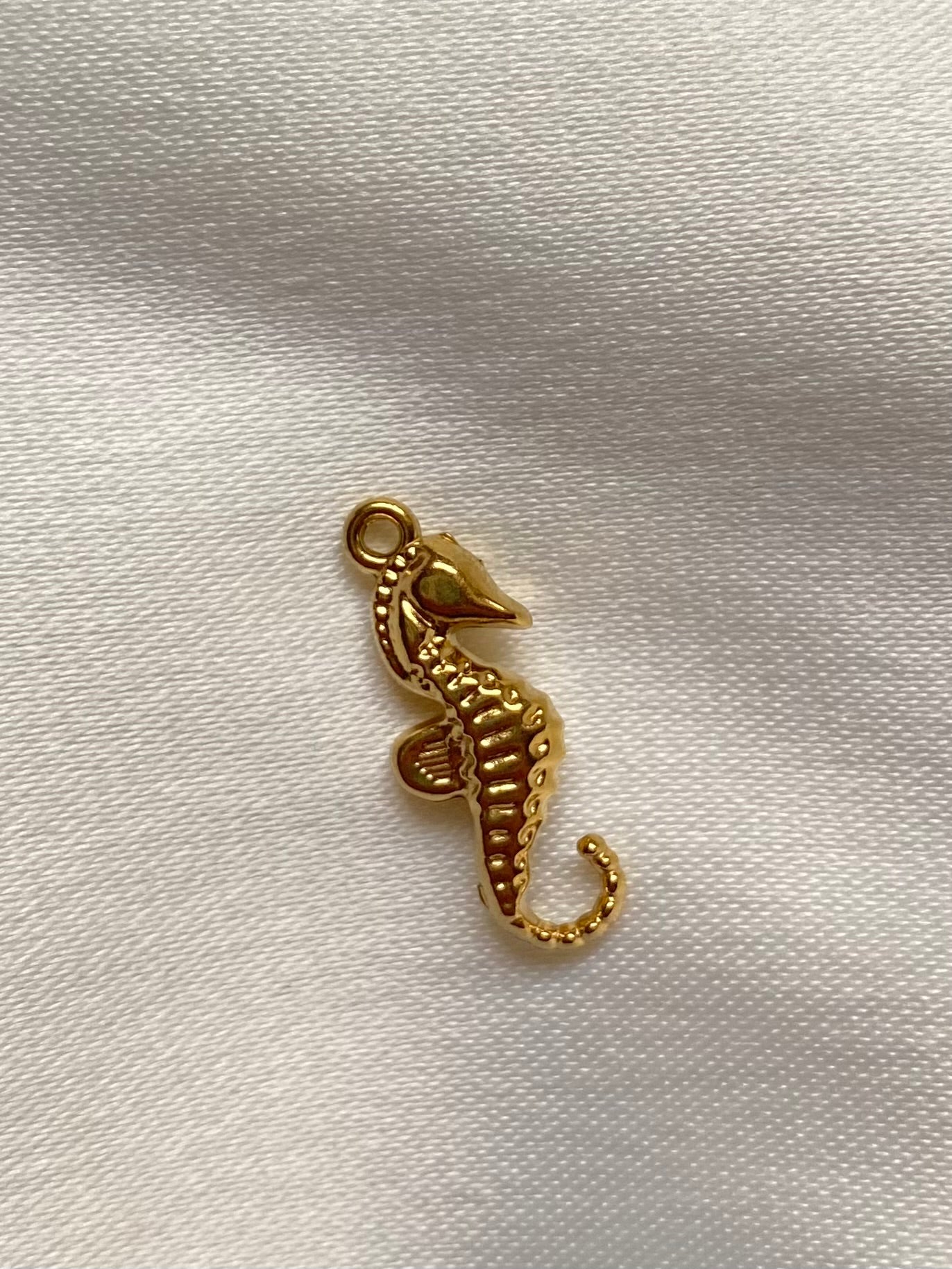 Seahorse